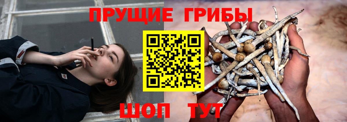 Галлюциногенные грибы мухоморы  Вход с VPN  Ртищево 